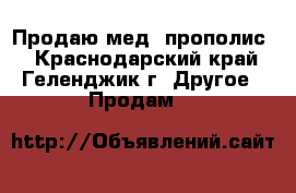 Продаю мед, прополис. - Краснодарский край, Геленджик г. Другое » Продам   